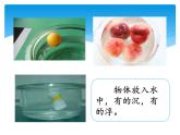 湘科版五年级科学上册2.1谁沉谁浮（课件）