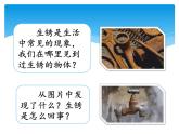 湘科版五年級(jí)科學(xué)上冊(cè)4.3生銹（課件）