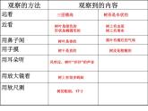 教科小学科学三上《1.2、校园的树木》PPT课件