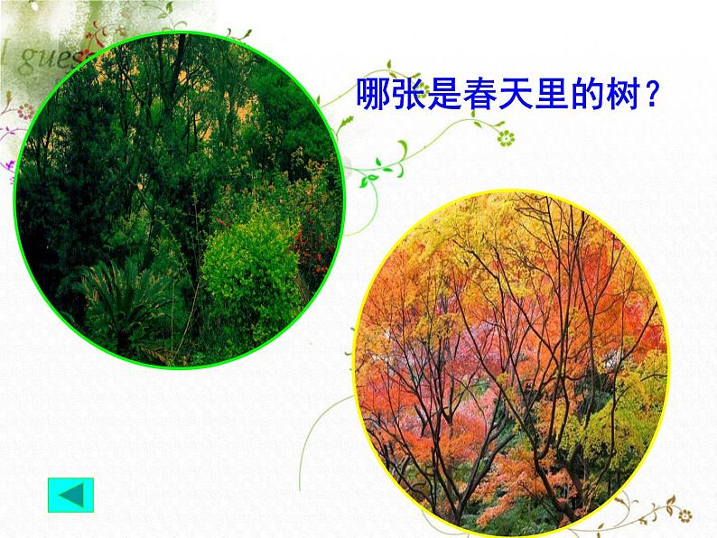 教科小学科学三上《1.6、植物发生了什么变化》PPT课件(4)第6页