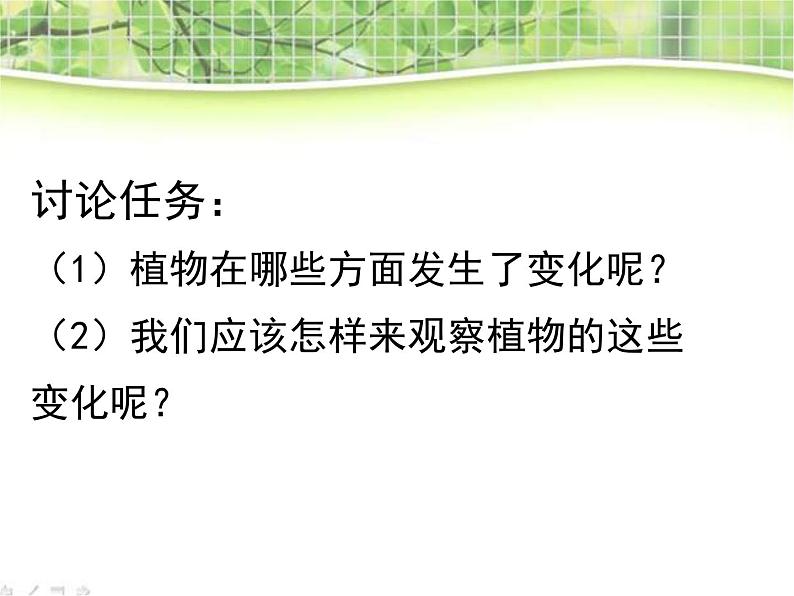 教科小学科学三上《1.6、植物发生了什么变化》PPT课件(12)第8页