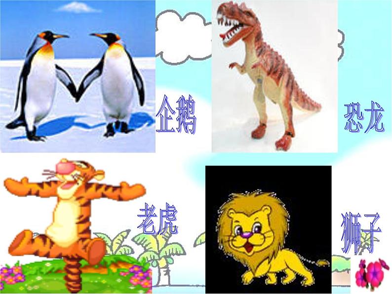 教科小学科学三上《2.1、寻访小动物》PPT课件(8)第6页