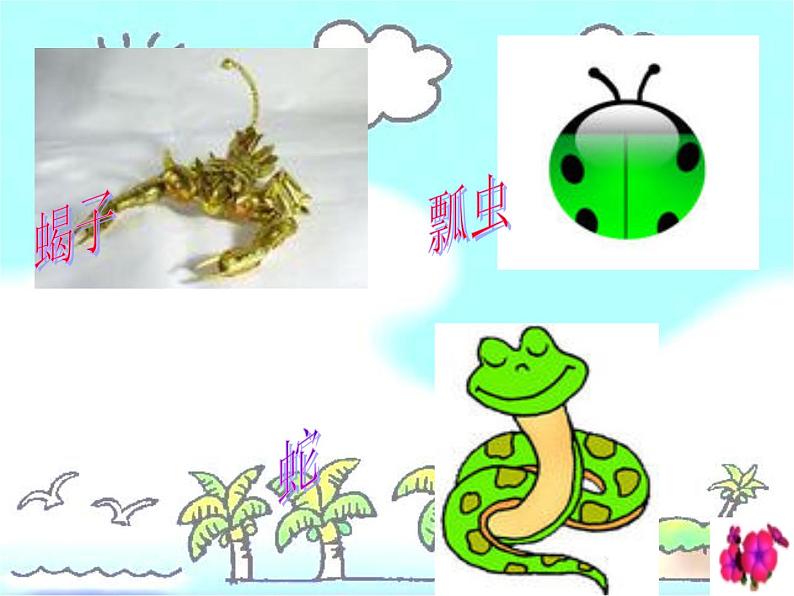 教科小学科学三上《2.1、寻访小动物》PPT课件(8)第8页