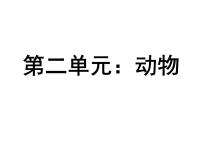 小学科学教科版三年级上册1、寻访小动物课前预习课件ppt