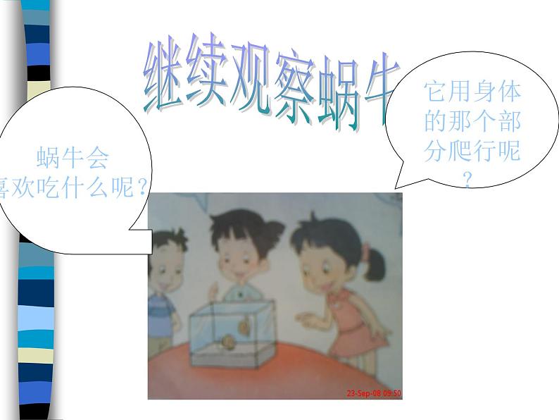 教科小学科学三上《2.2、蜗牛（一）》PPT课件(14)04