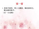 教科小学科学三上《2.1、寻访小动物》PPT课件(13)