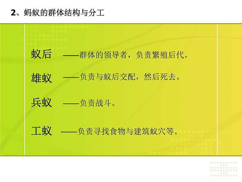 教科小学科学三上《2.5、蚂蚁》PPT课件(10)第3页