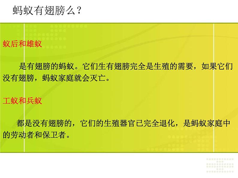 教科小学科学三上《2.5、蚂蚁》PPT课件(10)第4页