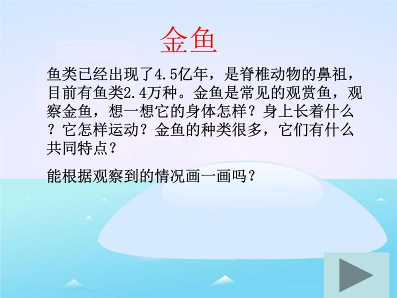 教科小学科学三上《2.6、金鱼》PPT课件(8)02