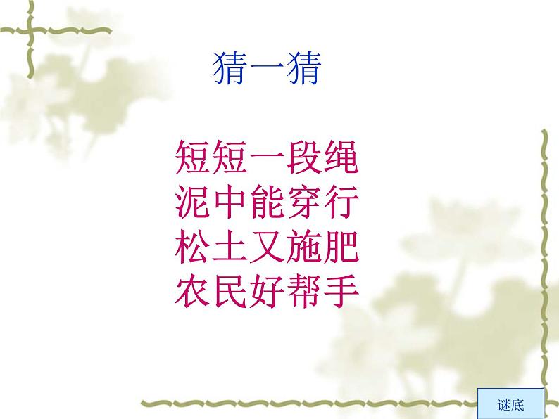 教科小学科学三上《2.4、蚯蚓》PPT课件(6)01