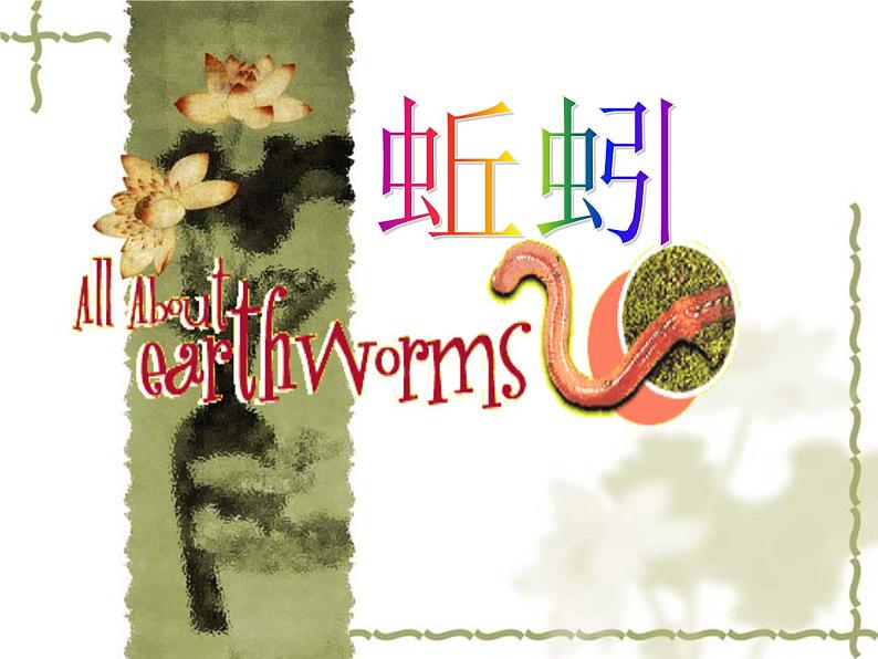 教科小学科学三上《2.4、蚯蚓》PPT课件(6)02