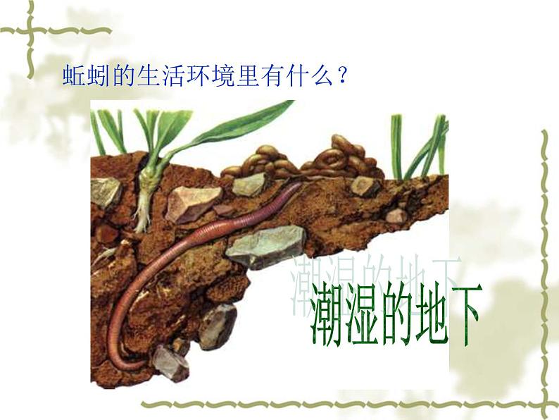 教科小学科学三上《2.4、蚯蚓》PPT课件(6)04