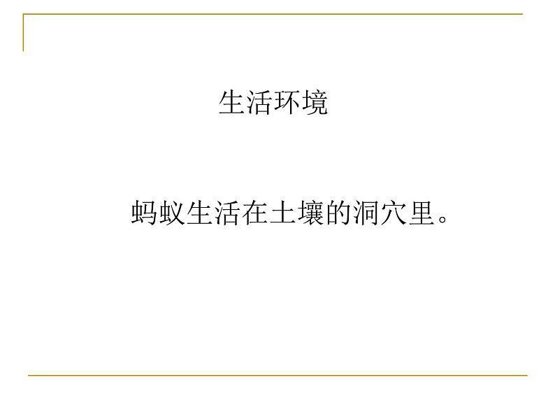 教科小学科学三上《2.5、蚂蚁》PPT课件(6)第4页