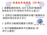 教科小学科学三上《2.4、蚯蚓》PPT课件(7)