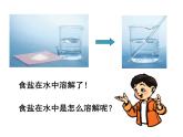 教科小学科学四上《2.2、物质在水中是怎样溶解的》PPT课件(5)