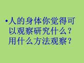 教科小学科学四上《4.1、身体的结构》PPT课件(4)