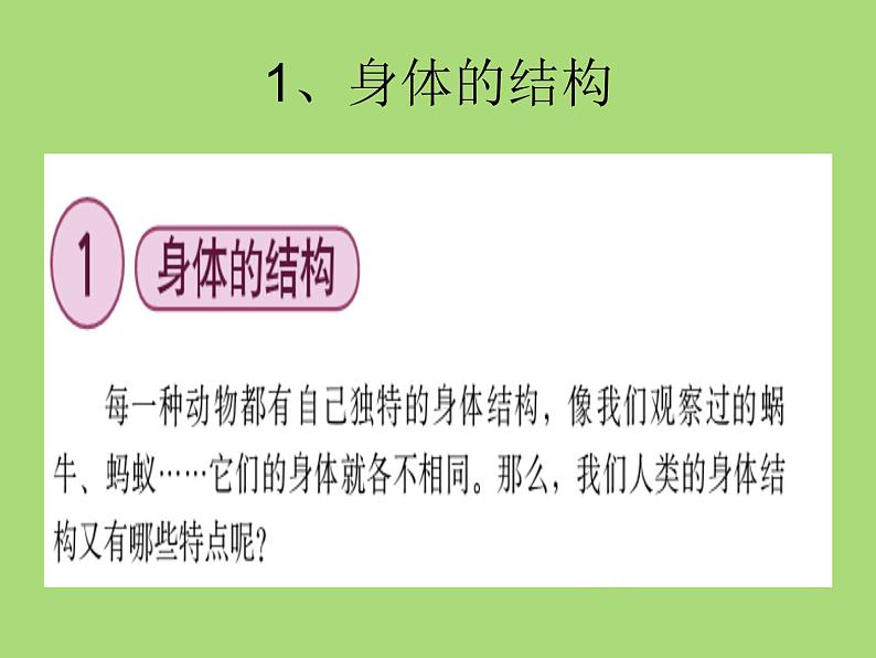 教科小学科学四上《4.1、身体的结构》PPT课件(4)03