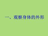 教科小学科学四上《4.1、身体的结构》PPT课件(4)