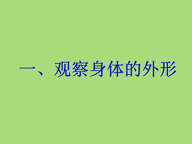 教科小学科学四上《4.1、身体的结构》PPT课件(4)04