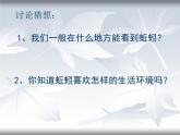 教科小学科学五上《1.4、蚯蚓的选择》PPT课件(6)