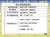 教科小学科学五上《1.1、种子发芽实验（一）》PPT课件(4)