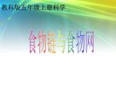 教科小学科学五上《1.5、食物链和食物网》PPT课件(11)
