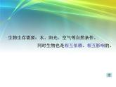 教科小学科学五上《1.5、食物链和食物网》PPT课件(11)