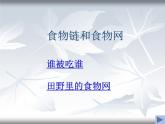 教科小学科学五上《1.5、食物链和食物网》PPT课件(13)