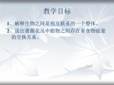 教科小学科学五上《1.5、食物链和食物网》PPT课件(13)