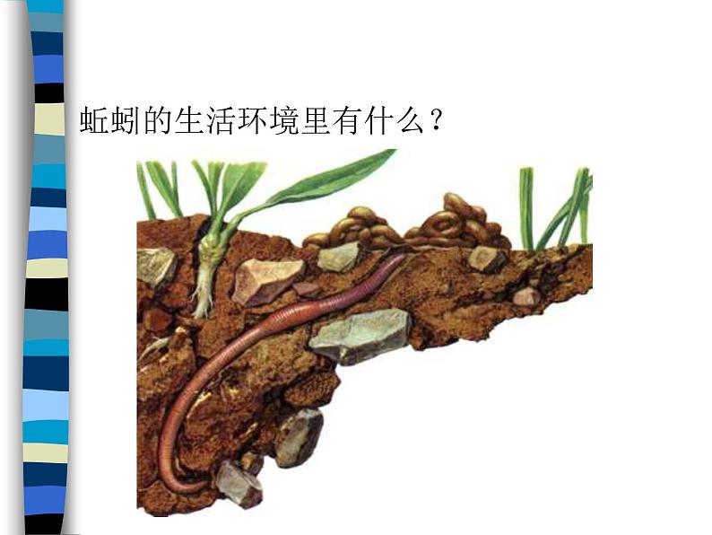 教科小学科学三上《2.4、蚯蚓》PPT课件06