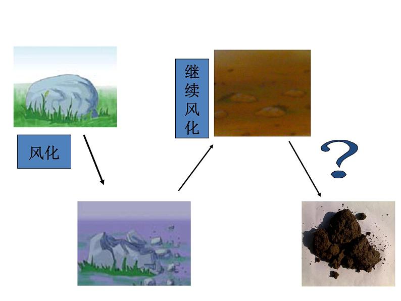 土壤中有什么PPT课件免费下载02