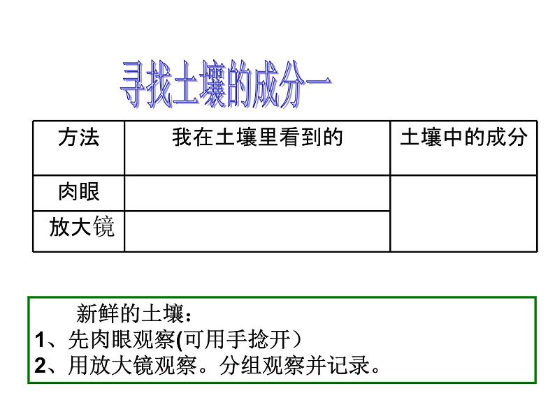 土壤中有什么PPT课件免费下载04