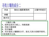 土壤中有什么PPT课件免费下载