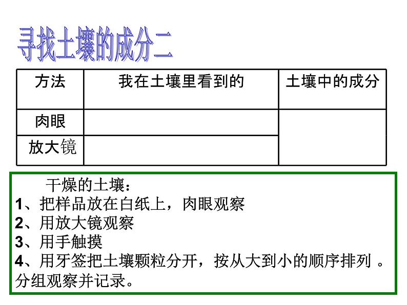 土壤中有什么PPT课件免费下载05