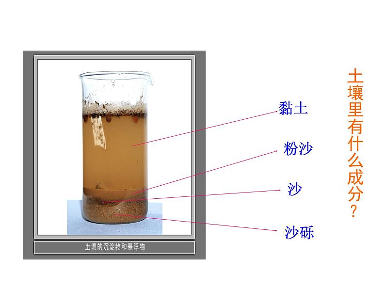 土壤中有什么PPT课件免费下载08