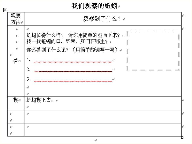 教科小学科学三上《2.4、蚯蚓》PPT课件03