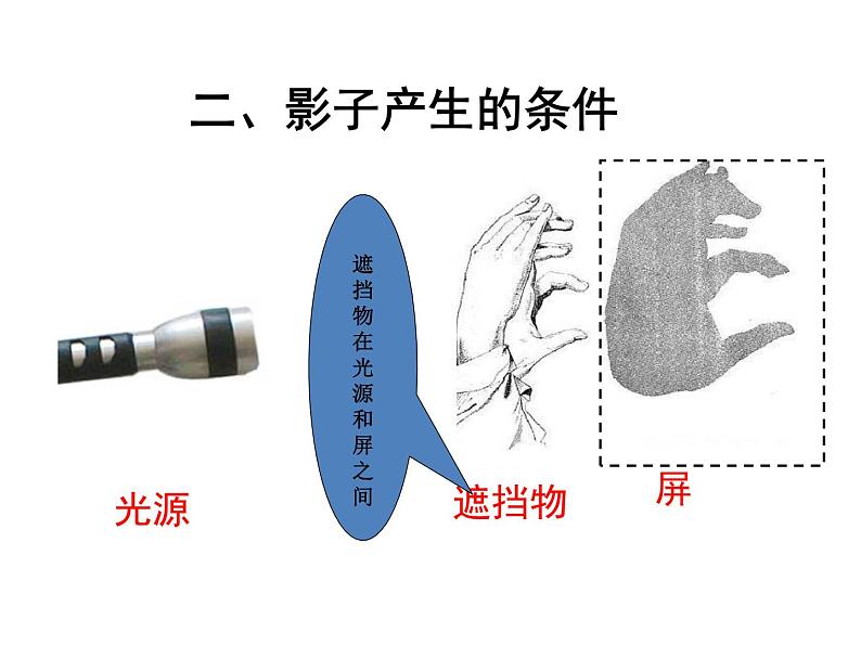 教科版科学五上2.1《光和影》ppt课件第5页