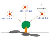 教科版科学五上2.2《阳光下的影子》ppt课件