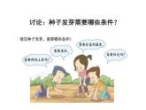 种子发芽实验（一）PPT课件免费下载