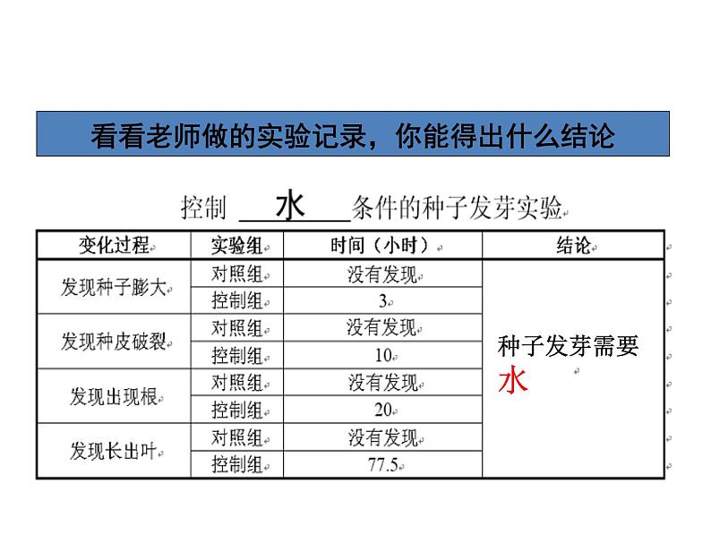 种子发芽实验（二）PPT课件免费下载04