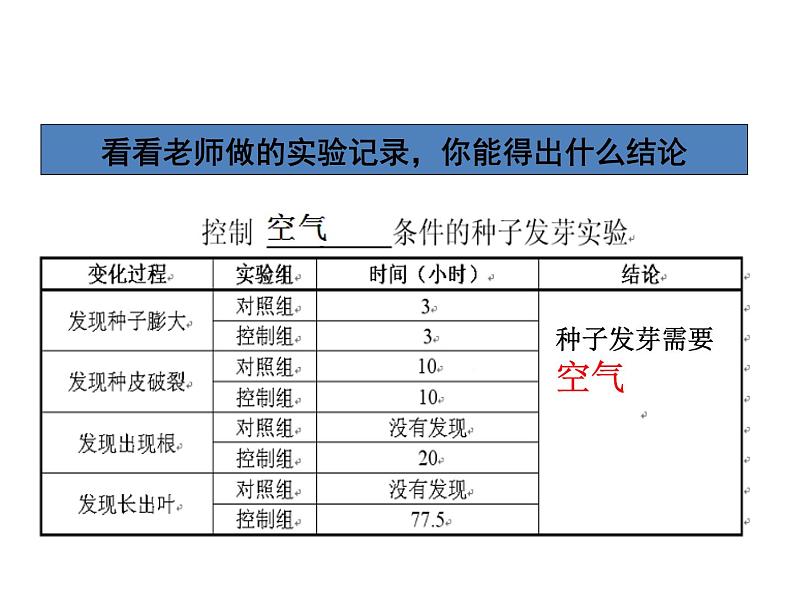 种子发芽实验（二）PPT课件免费下载05