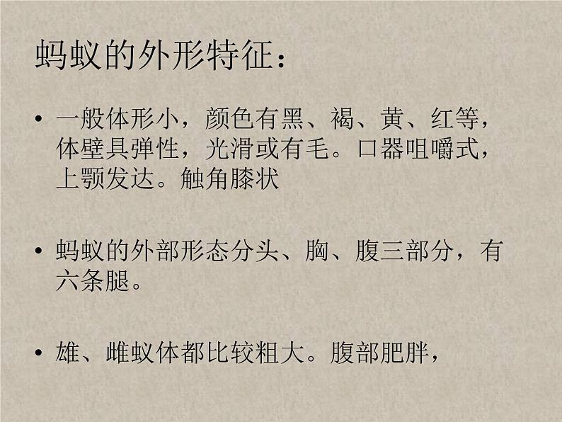 教科小学科学三上《2.5、蚂蚁》PPT课件第3页