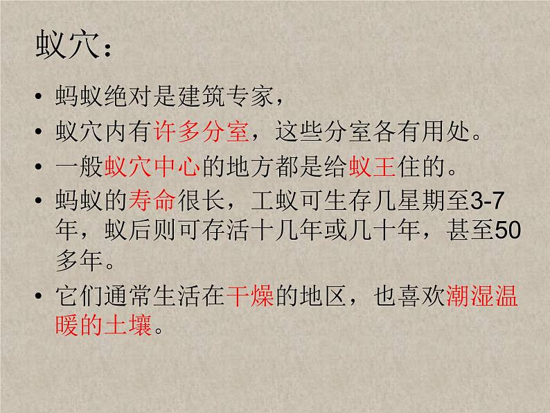 教科小学科学三上《2.5、蚂蚁》PPT课件第4页