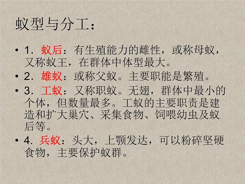 教科小学科学三上《2.5、蚂蚁》PPT课件第5页