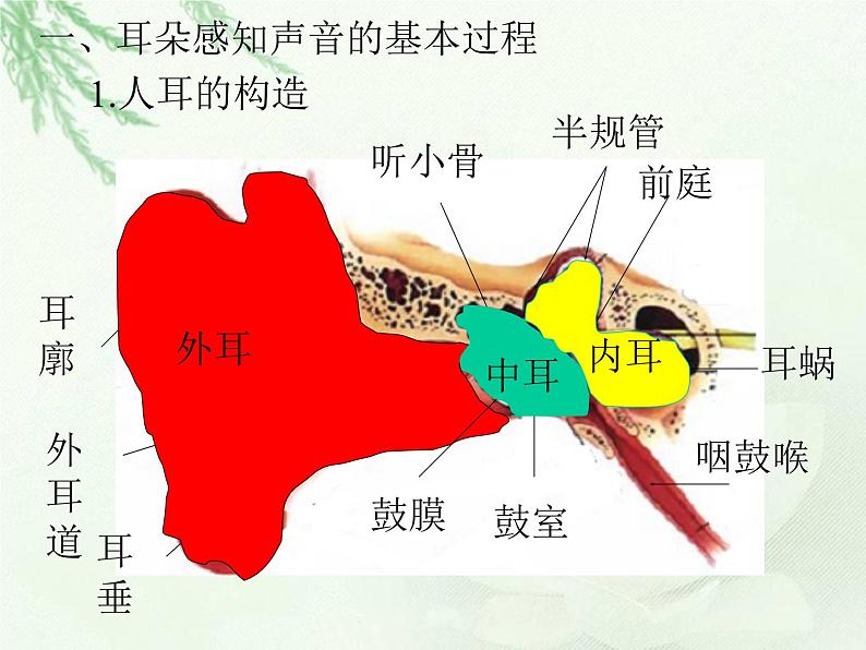 教科小学科学四上《4、我们是怎样听到声音的》PPT课件04