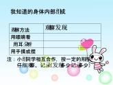 教科小学科学四上《4.1、身体的结构》PPT课件