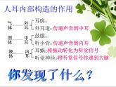 教科小学科学四上《4、我们是怎样听到声音的》PPT课件