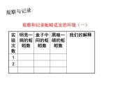 教科小学科学五上《1.4、蚯蚓的选择》PPT课件(9)