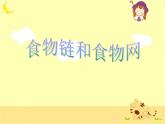 教科小学科学五上《1.5、食物链和食物网》PPT课件(6)