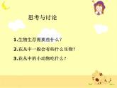 教科小学科学五上《1.5、食物链和食物网》PPT课件(6)